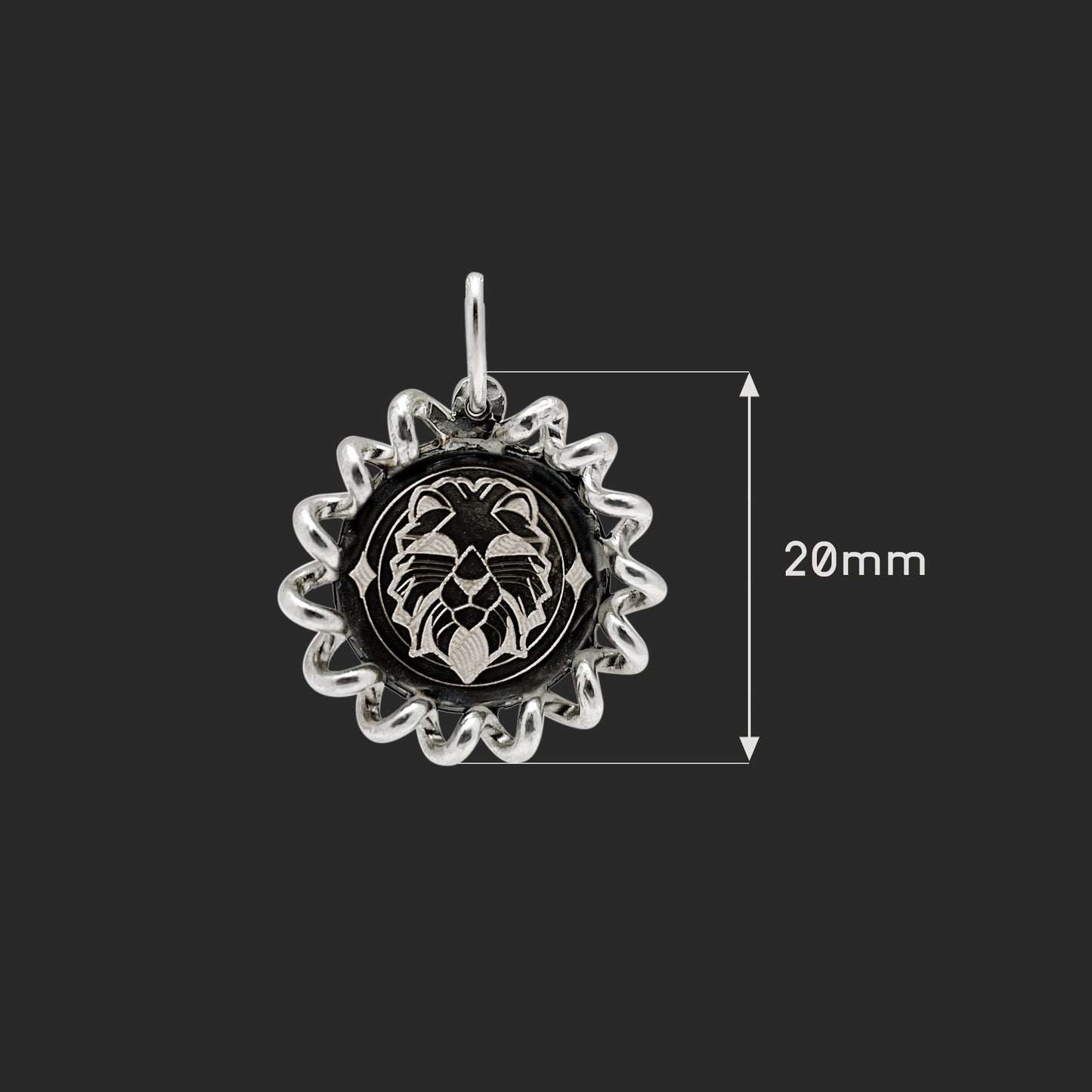 Leo Medallion Necklace