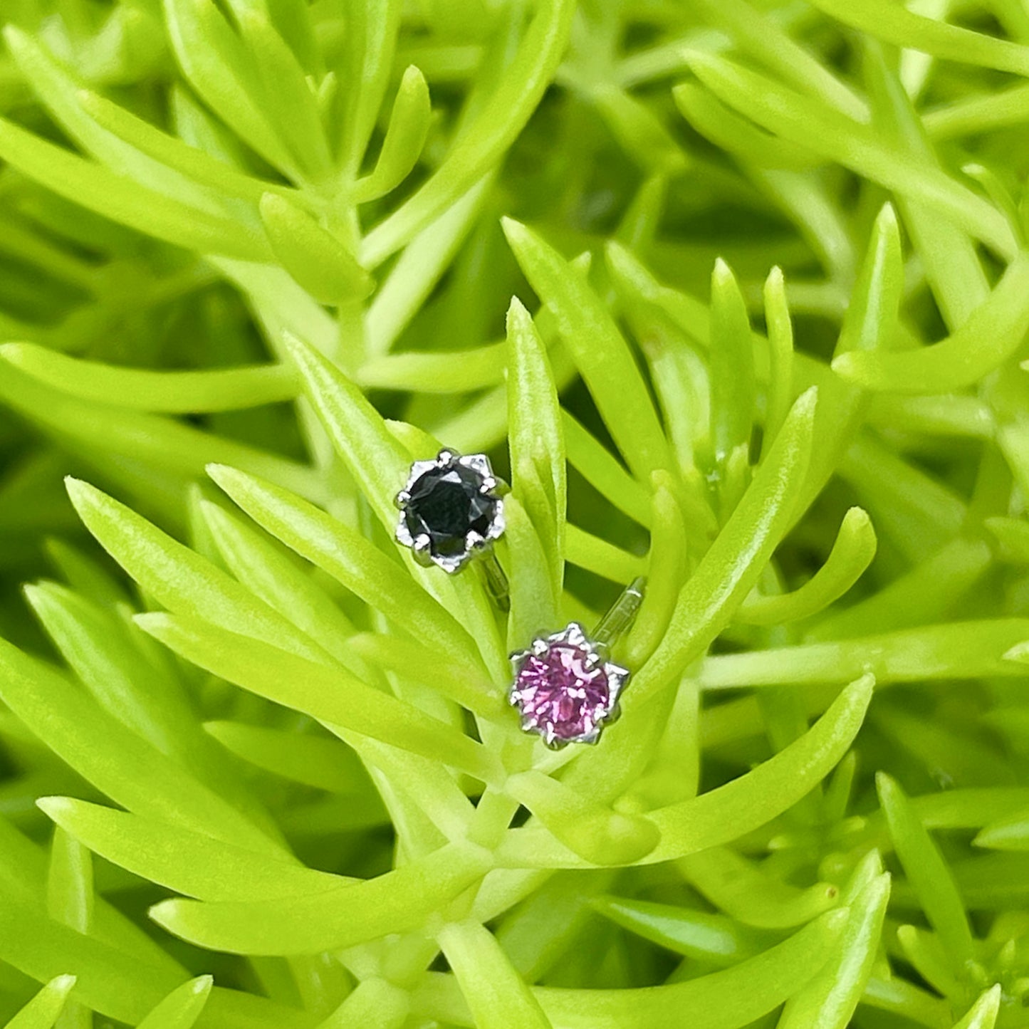 Starli Birthstone Stud Earrings