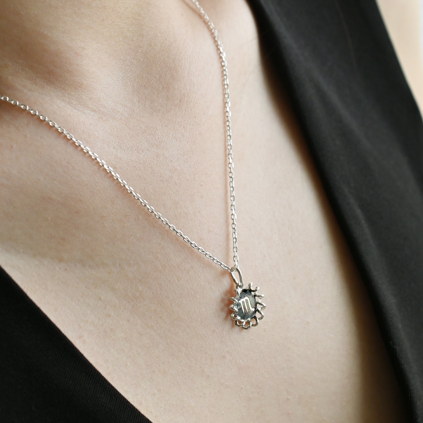 Aquarius Charm Necklace