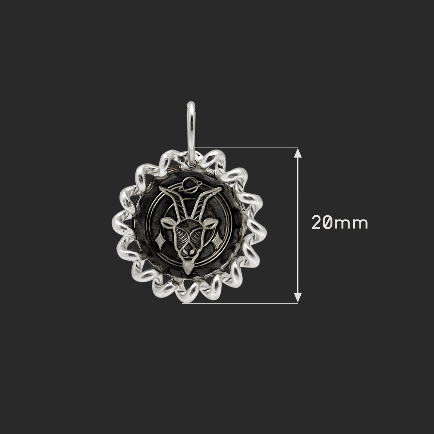 Capricorn Medallion Necklace