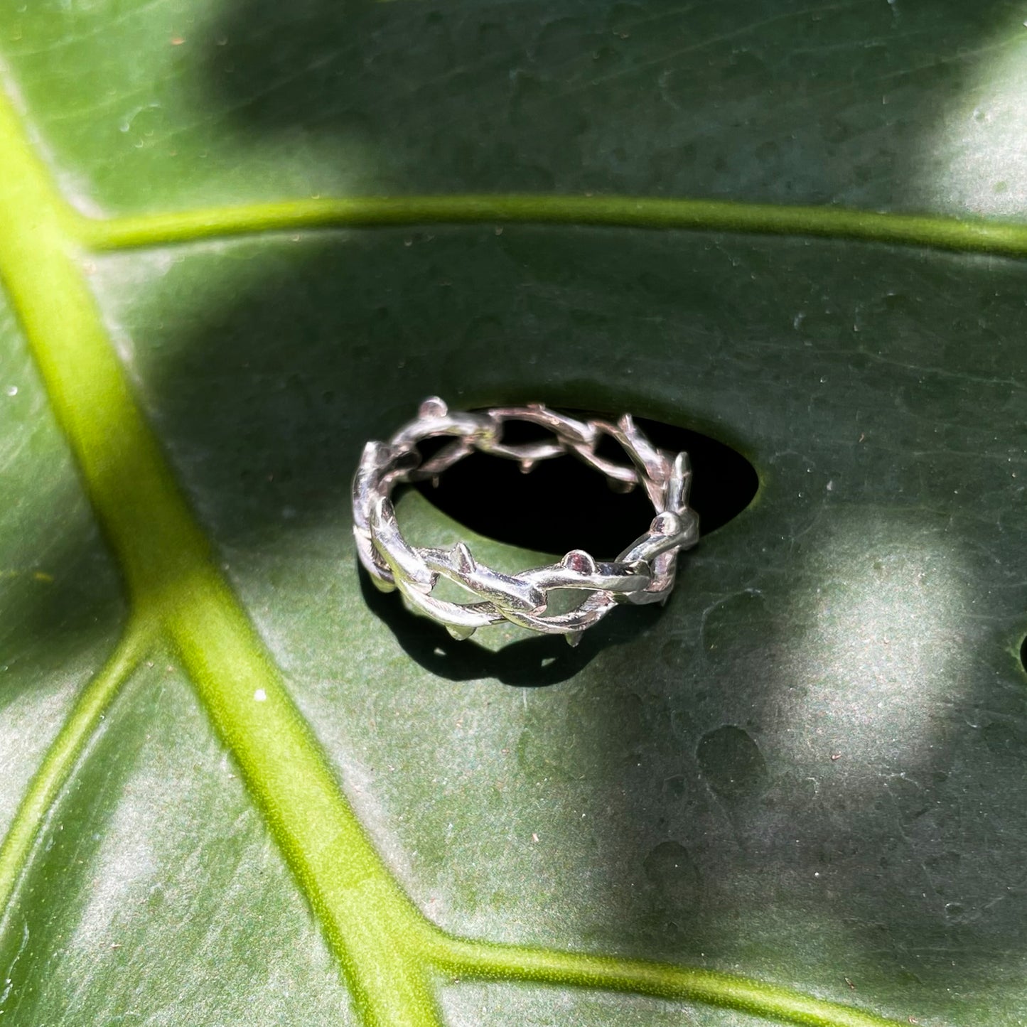 Thornline Ring